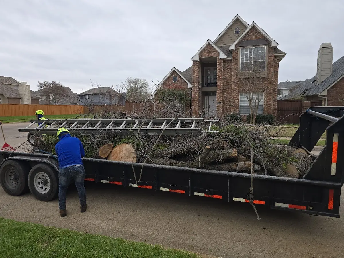 Expert Tree Fertilization with proper safety equipment in Greenacres